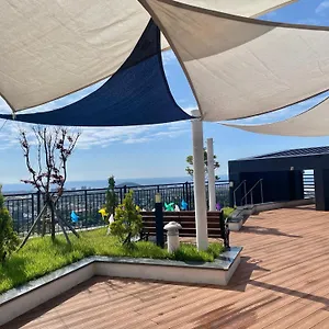 Hotel Ventimo & Jeju